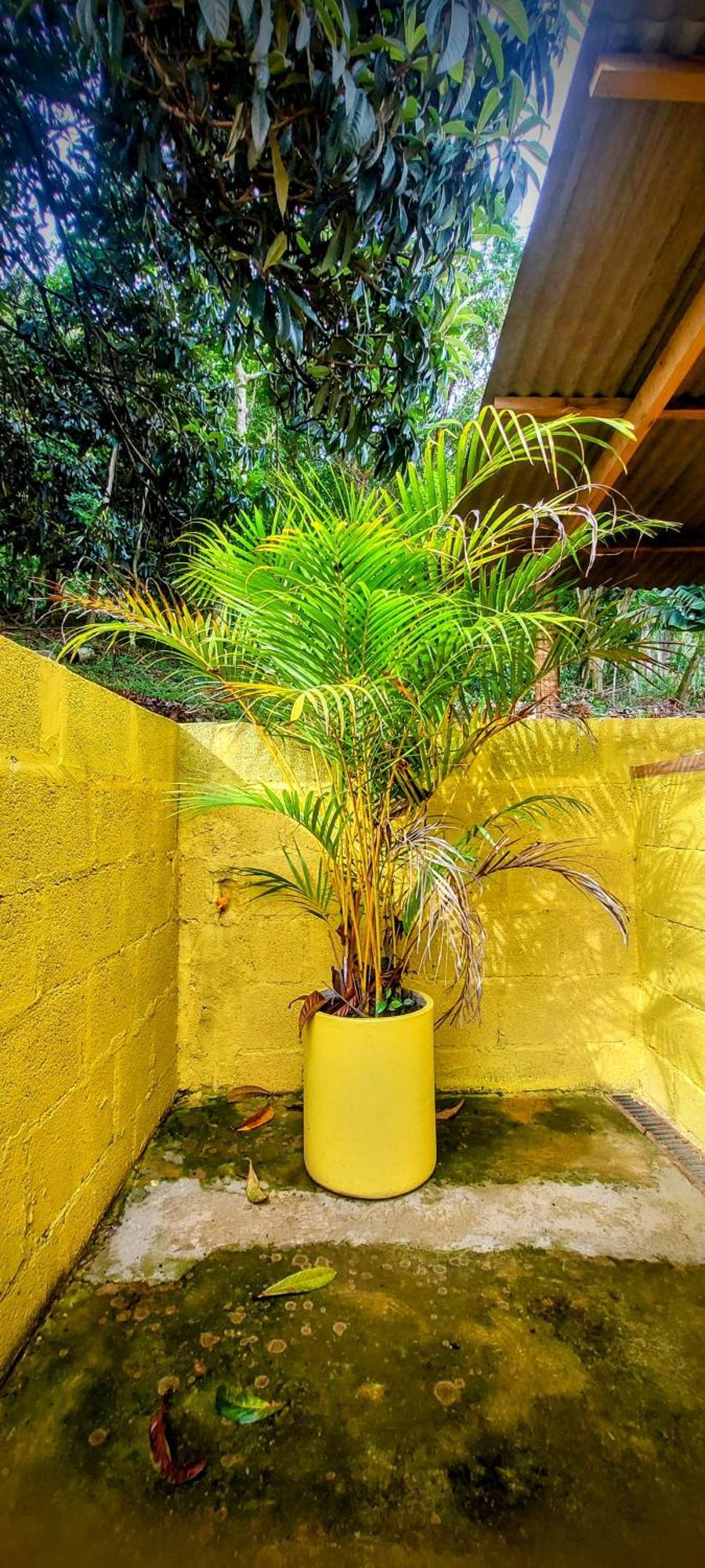 ホテル Rancho Acacia Sao Roque エクステリア 写真